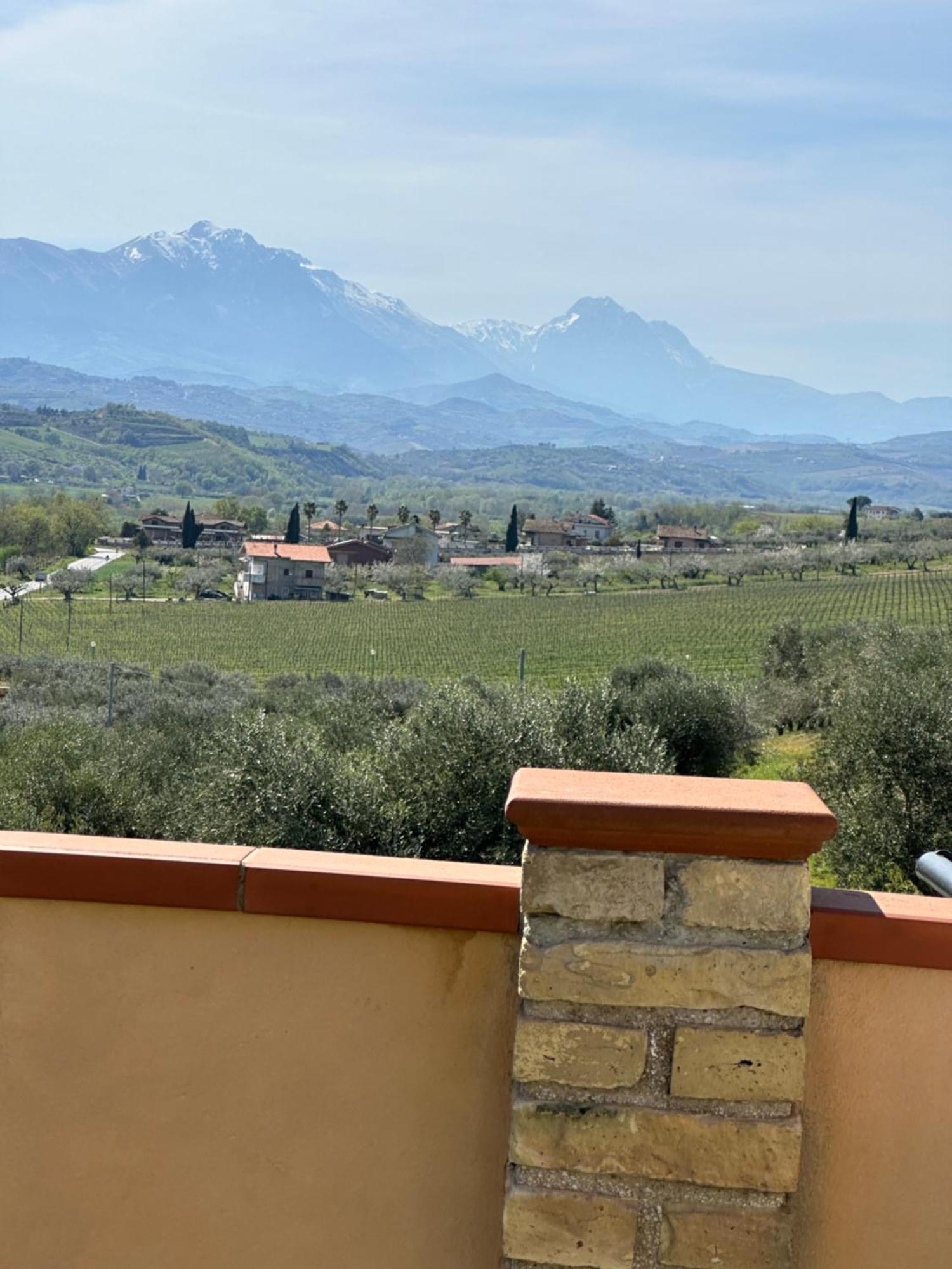 Il Podere Degli Asinelli Citta Sant'Angelo Zewnętrze zdjęcie