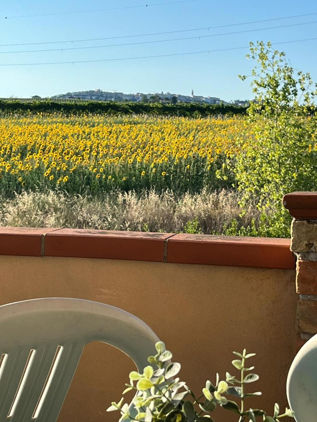 Il Podere Degli Asinelli Citta Sant'Angelo Zewnętrze zdjęcie